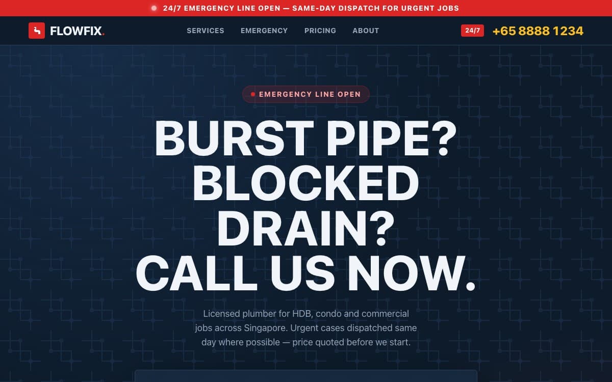 Plumbing website preview