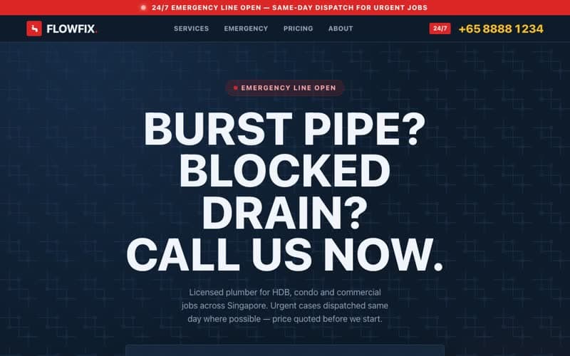 Plumbing demo website